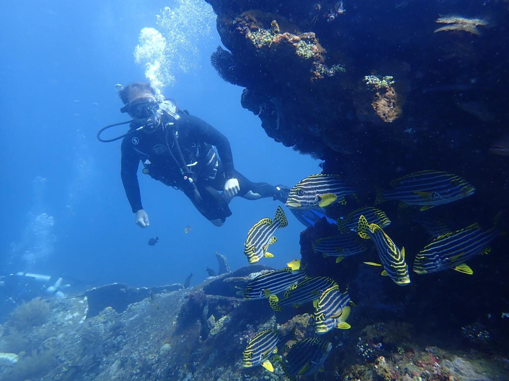 Palm Springs Bali Dive Resort Туламбен Екстер'єр фото